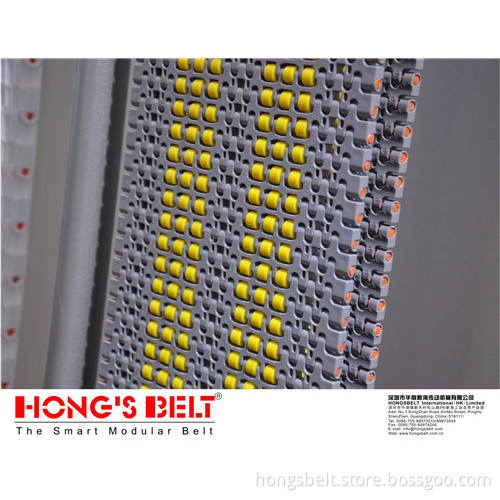 Food Grade Roller Modular Conveyor Belt (HS-1100C)